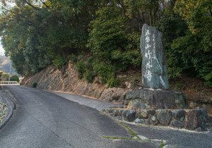 SBJ04219