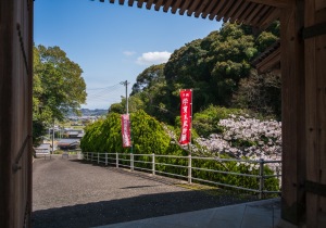 SBJ06141