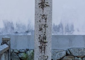 SBJ00355