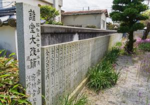 SBJ08312