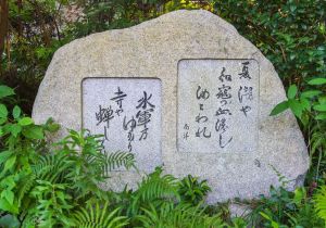 SBJ09223