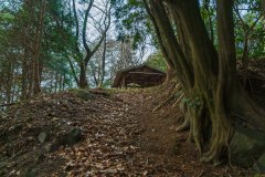 長者森・権現山16