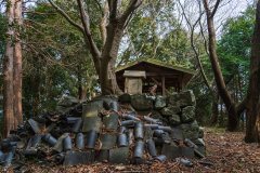 長者森・権現山20