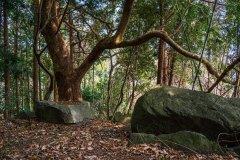 長者森・権現山33