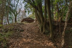 長者森・権現山34
