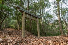 長者森・権現山44