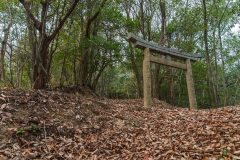 長者森・権現山5