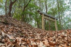 長者森・権現山6