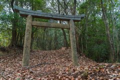 長者森・権現山7