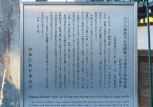 SBJ08259