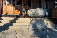 DSC07660