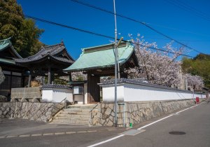 SBJ07357