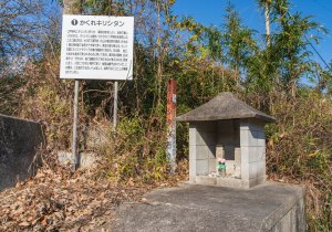 SBJ04118