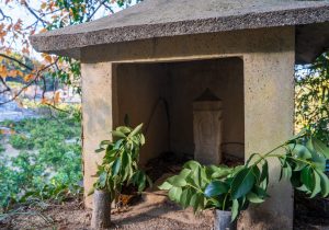 SBJ04540