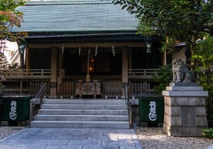 DSC02855
