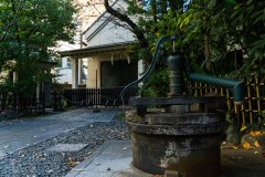 DSC02858