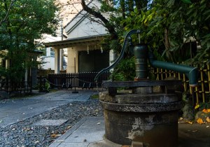 DSC02858