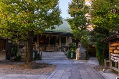 DSC02909