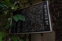 DSC02913