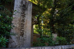 DSC02914