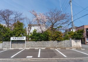 SBJ05607