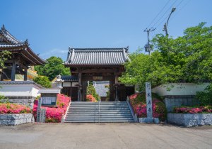 SBJ09805