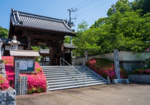 SBJ09806
