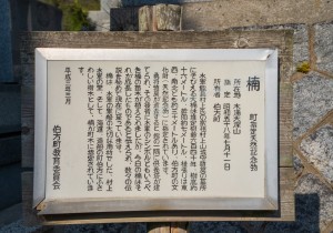 SBJ05835