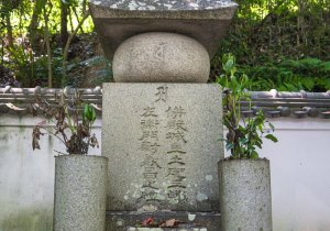 SBJ01669