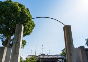 DSC05956