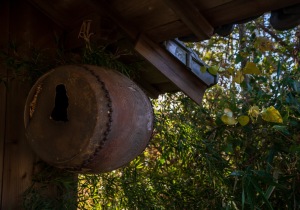 DSC06522