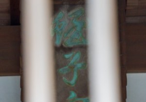 SBJ09509