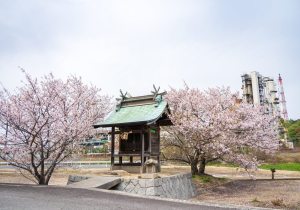 SBJ08114
