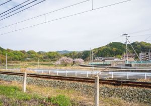 SBJ08173