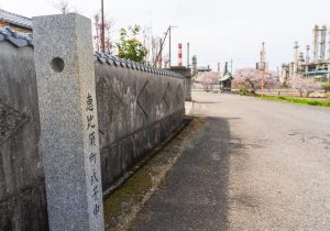 SBJ08182