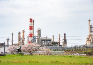 SBJ08184
