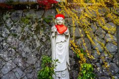 DSC04192