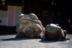 DSC07371