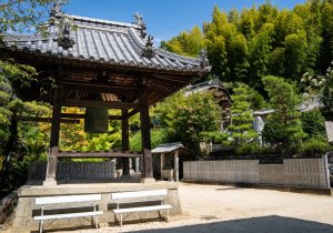 SBJ07438
