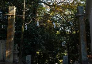 DSC05390