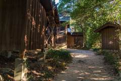 DSC05394