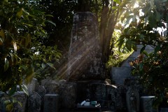 DSC02215