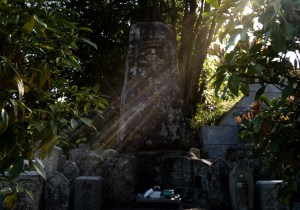 SBJ02215