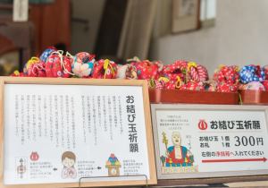 SBJ02373