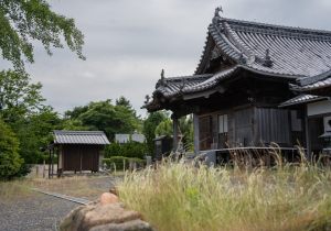 DSC05449