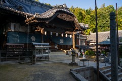 DSC04719