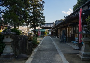 SBJ04723