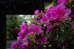 DSC08958
