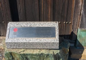 SBJ06289
