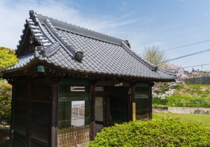 SBJ06576